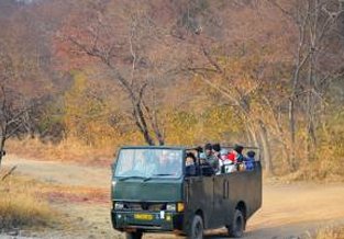 famous tiger ranthambore
